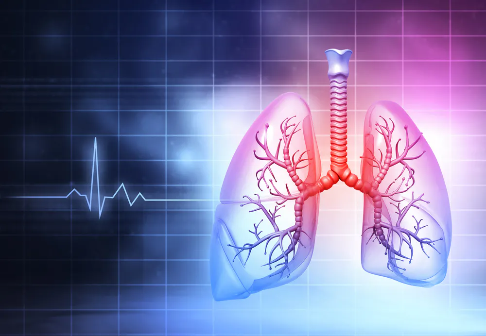 Diagramă a anatomiei plămânilor umani