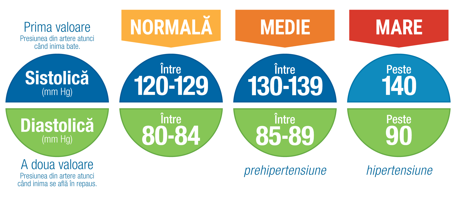 Hipertensiunea Arteriala: Simptome Si Tratament | MONZA ARES