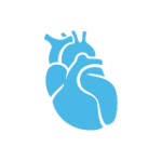 1. Malformații congenitale cardiace (boli cardiace cu care te-ai născut)