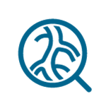 2. Alte afecțiuni cardiace