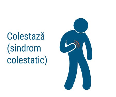 Colestaza - sindrom colestatic