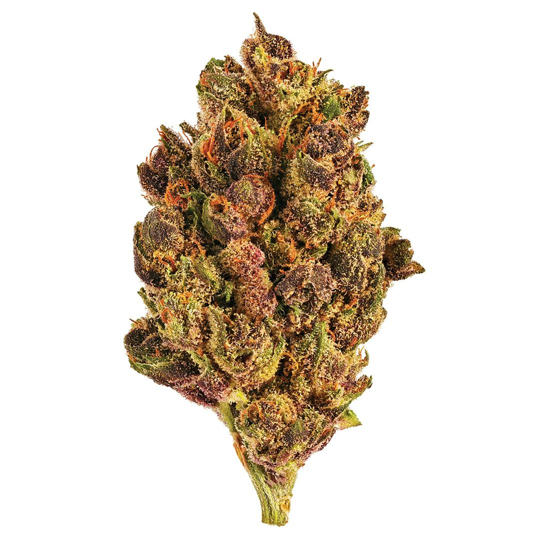 Download Top Cannabis Strains Canadian Cannabis San Rafael 71