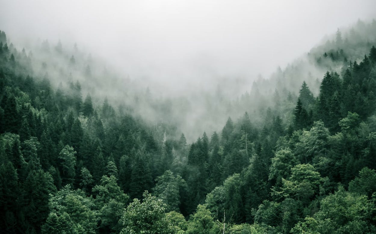 Image: Unsplash