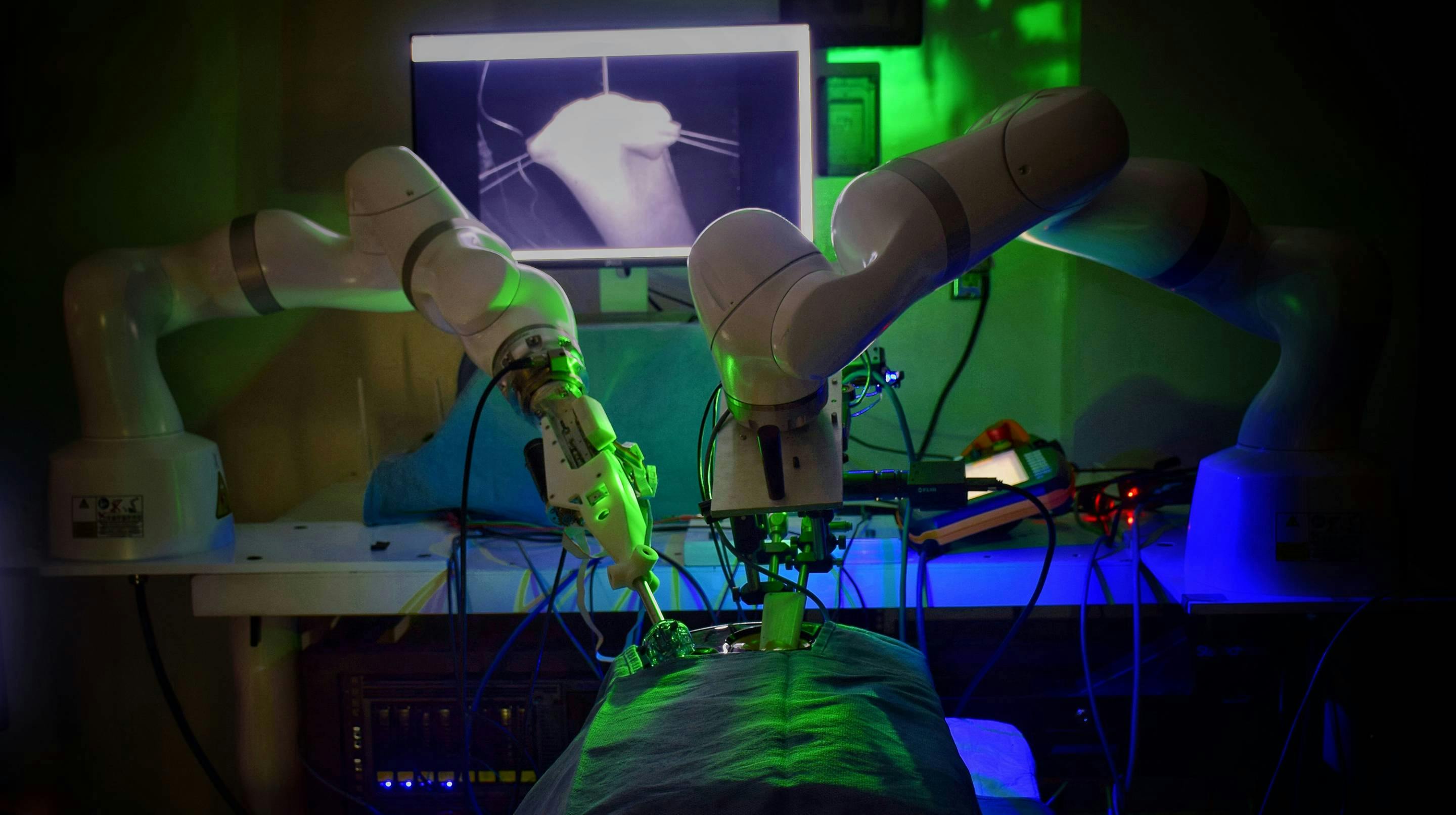 Image: Axel Krieger and Jin Kang, John Hopkins University