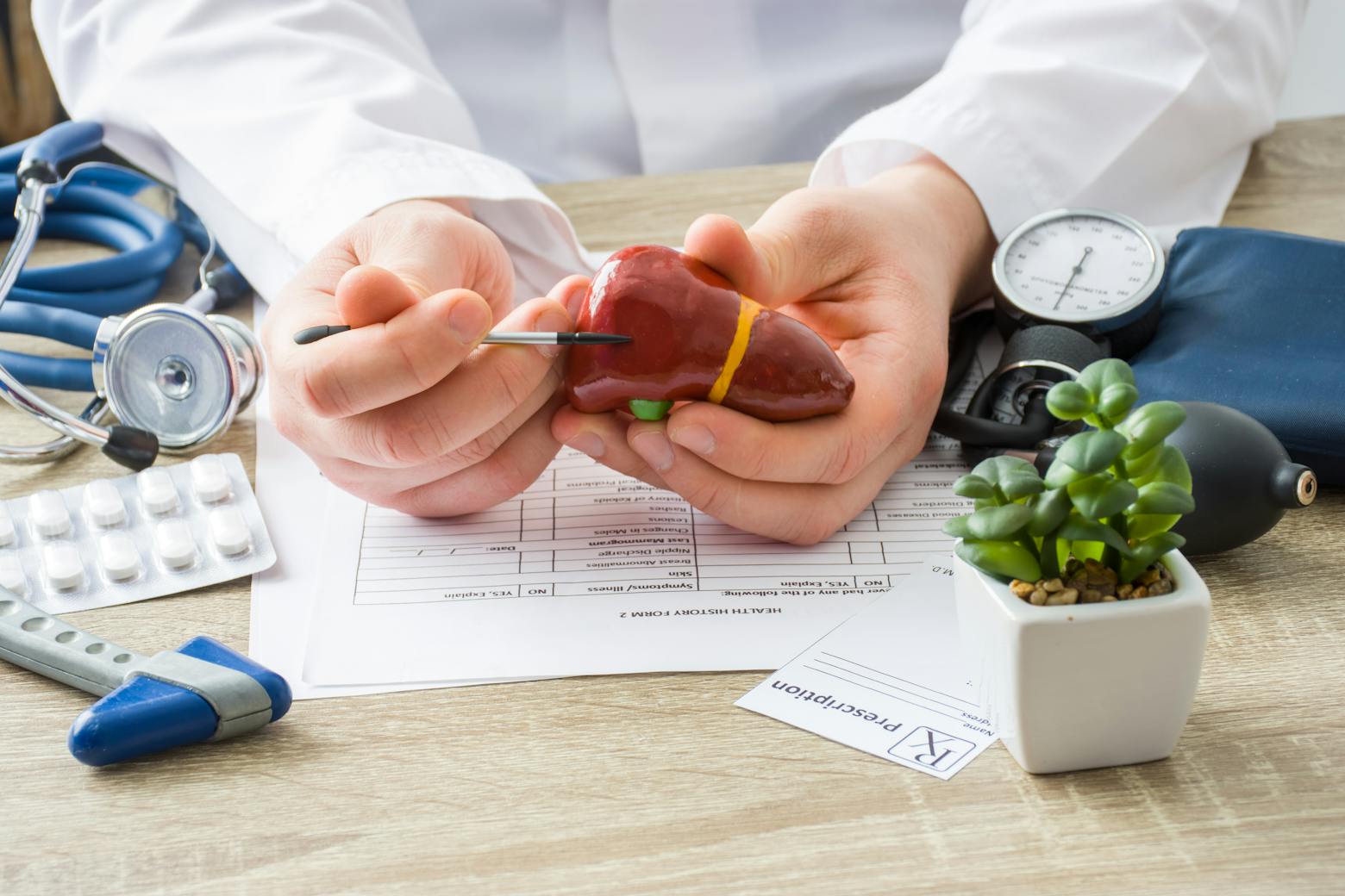 Doctor holding model of a liver representing a study that suggests an association between Roundup and juvenile liver damage.