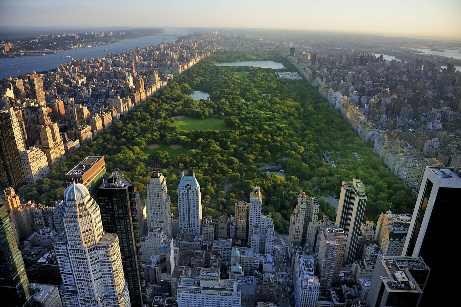 Image of New York's Central Park representing the settlement between the state of NY and Bayer, manufacturer of Roundup.