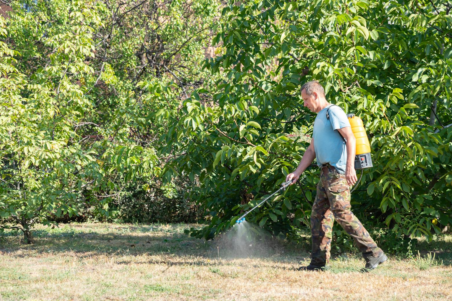 Man spraying weedkiller representing the Monsanto Roundup lawsuit alleging the weedkiller causes cancer.