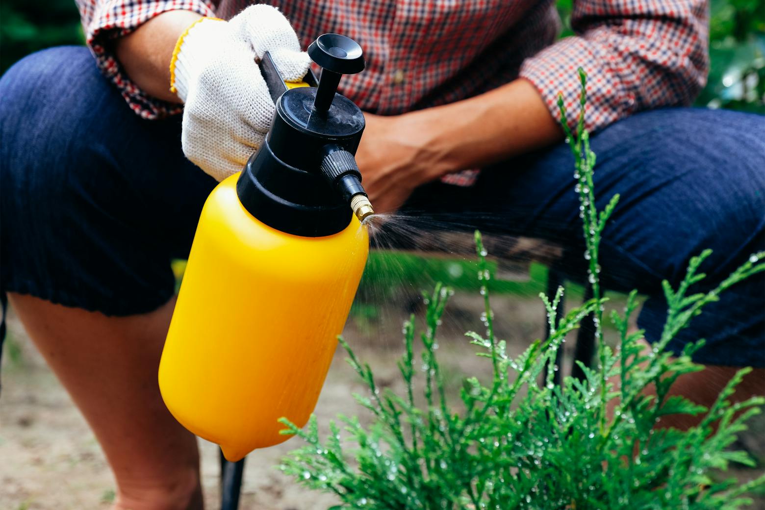 Image of a woman spraying Roundup representing a boy's Roundup cancer claims.