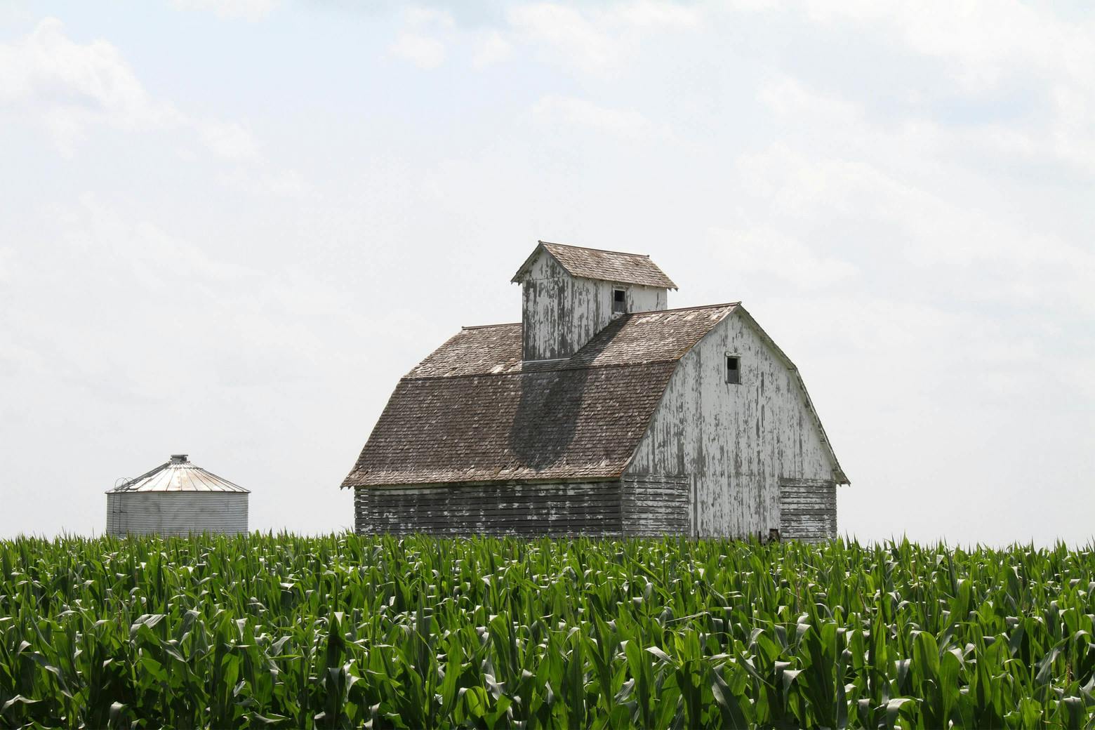 Barn surrounded by crops depicted in Farmer's Footprint