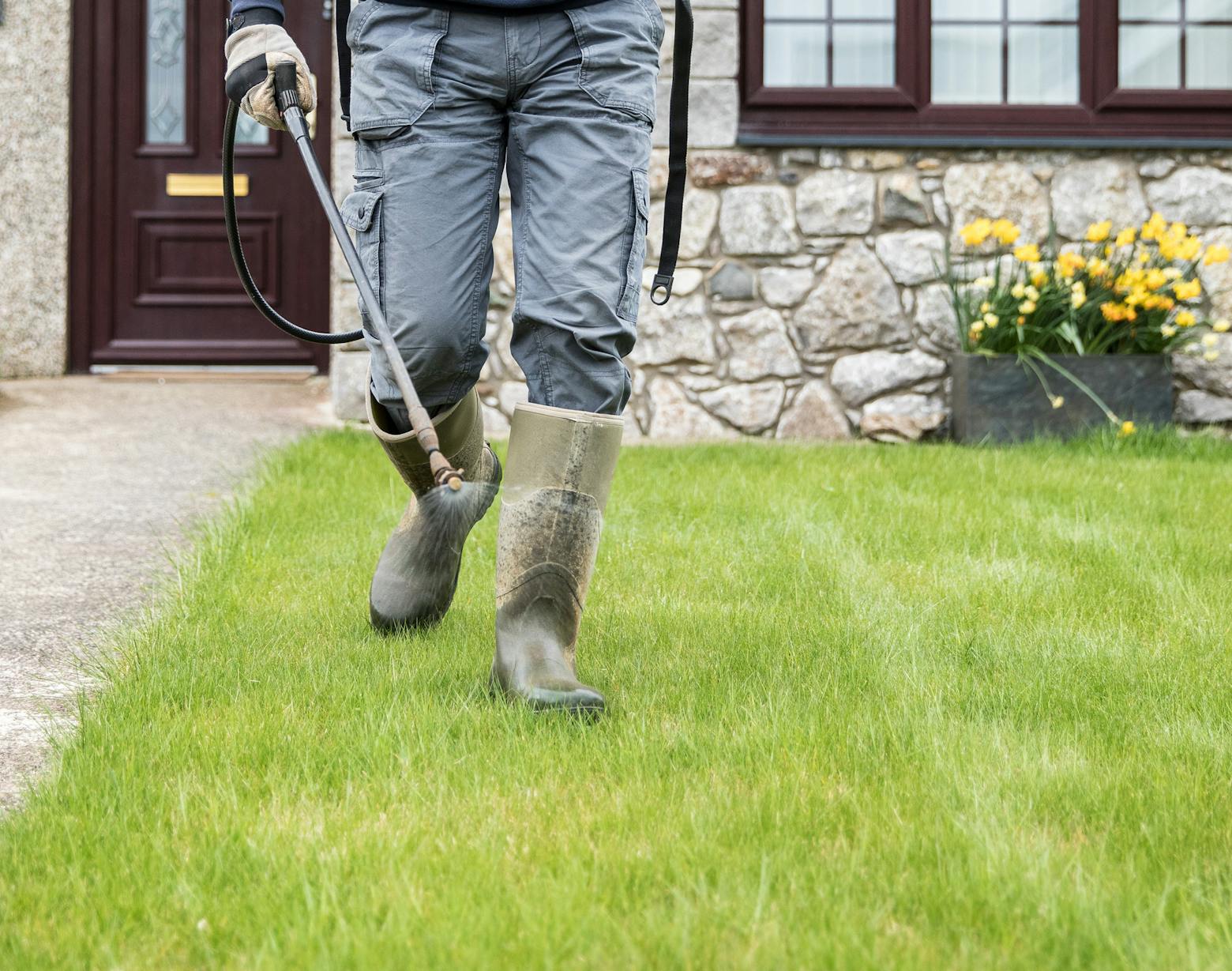 Man spraying lawn with weedkiller representing Bayer winning a Roundup trial against a man who claimed Roundup caused his non-Hodgkin's lymphoma.
