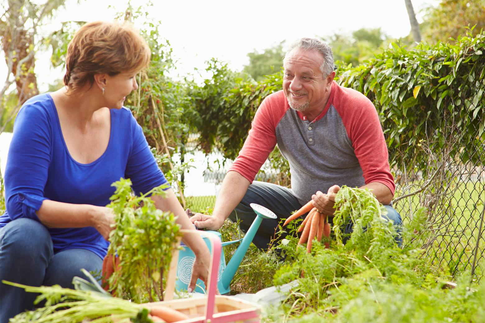 Image of a couple gardening representing the Alberta and Alva Pilliod Roundup cancer case.
