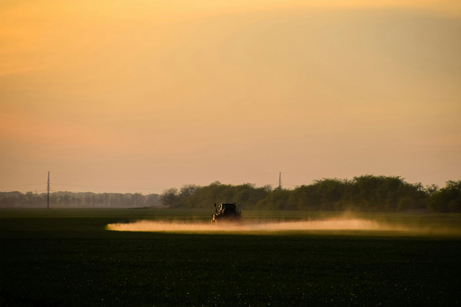 Photo of Field Sprayed with Roundup as lawsuits against Monsanto claim Roundup causes lymphoma.