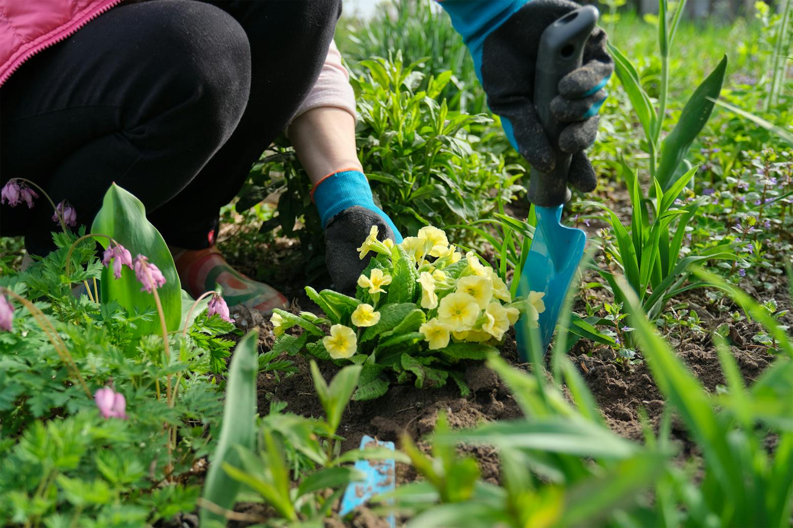 A woman gardening representing Monsanto winning Roundup cancer trial.