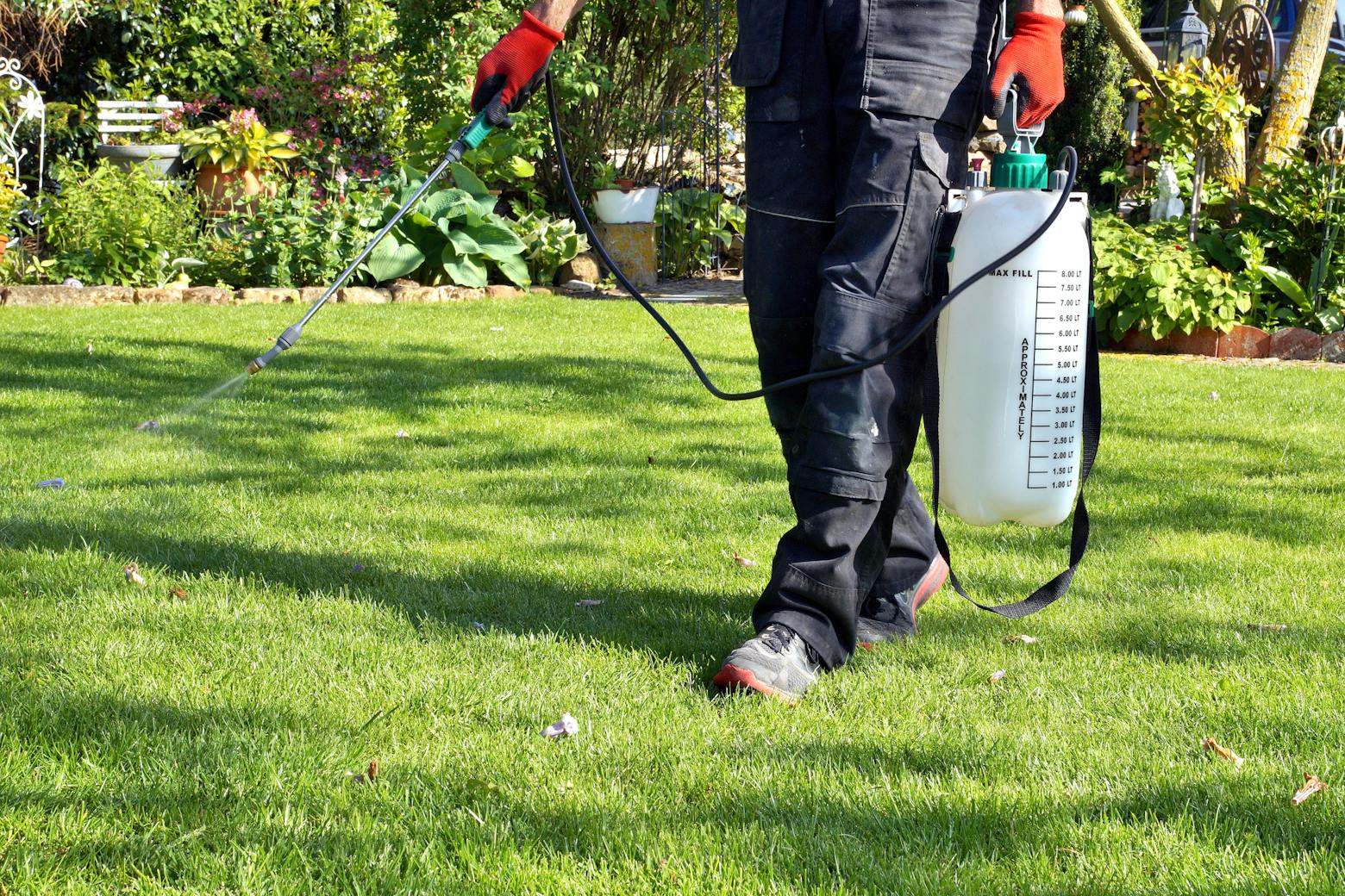 Man using weedkiller on a lawn representing the Roundup weedkiller cancer case in Missouri.