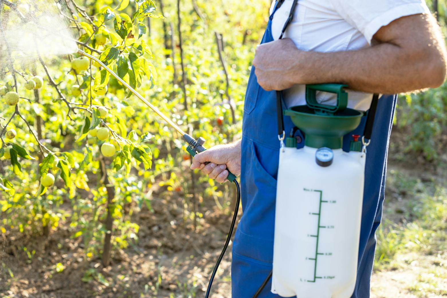 Image of a man spraying weedkiller representing the supreme court refusing to review a Roundup lawsuit.