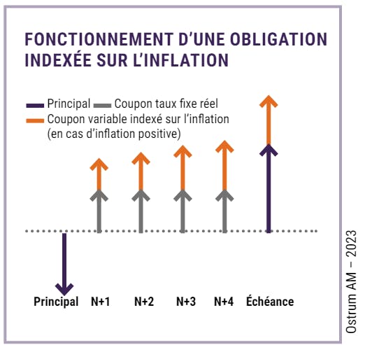 Fonctionnement d'une obligation indexée sur l'inflation