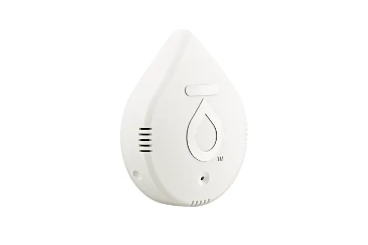 Flo by Moen Smart Water Detector