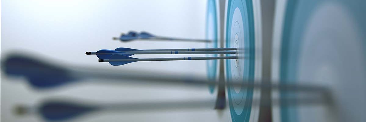 A target with arrows in the bullseye