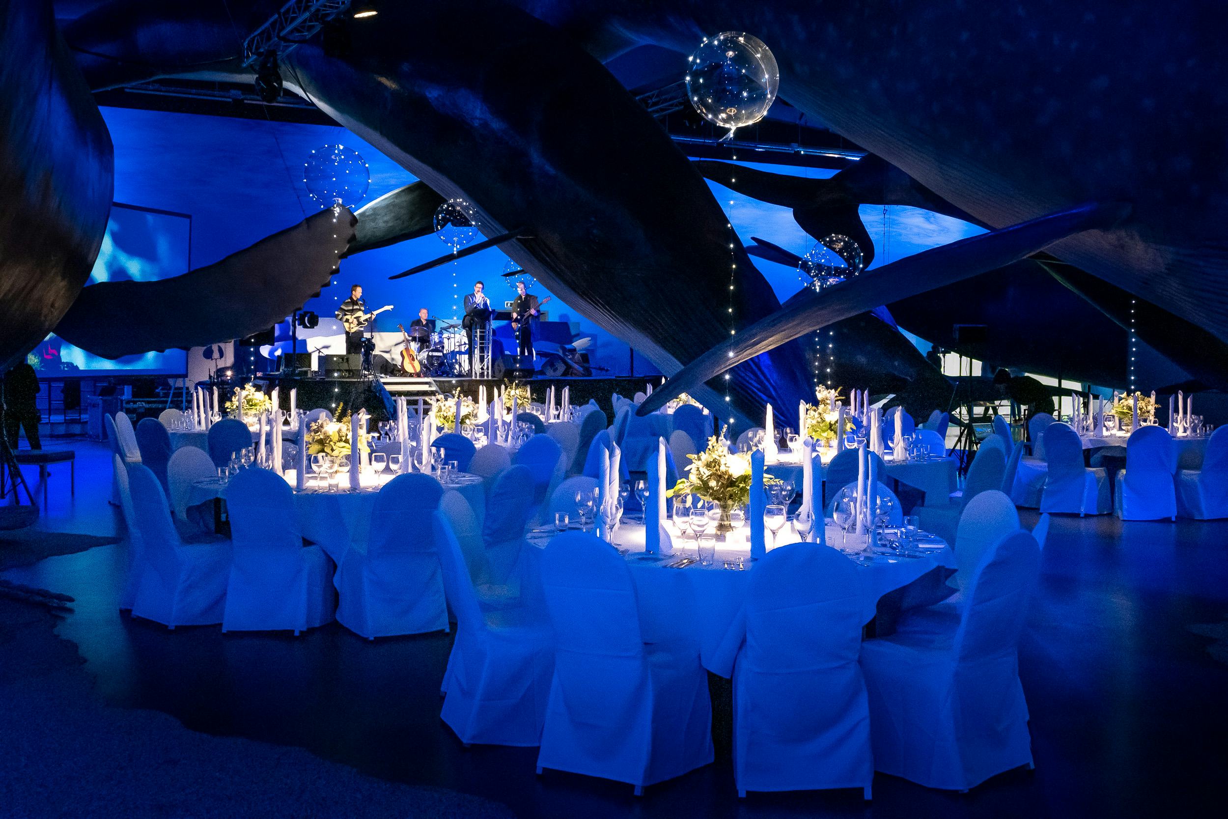 Essence of Iceland - event showcase