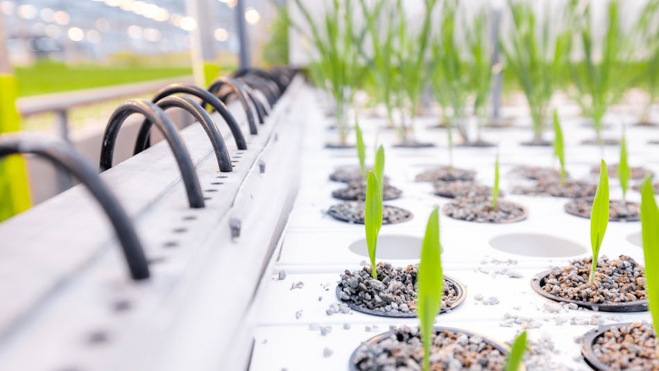 We can help you find the right solution to make your event more sustainable