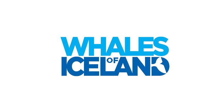 Whales of Iceland Meet in Reykjavik