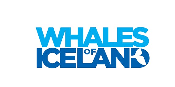 Whales of Iceland meet in Reykjavík
