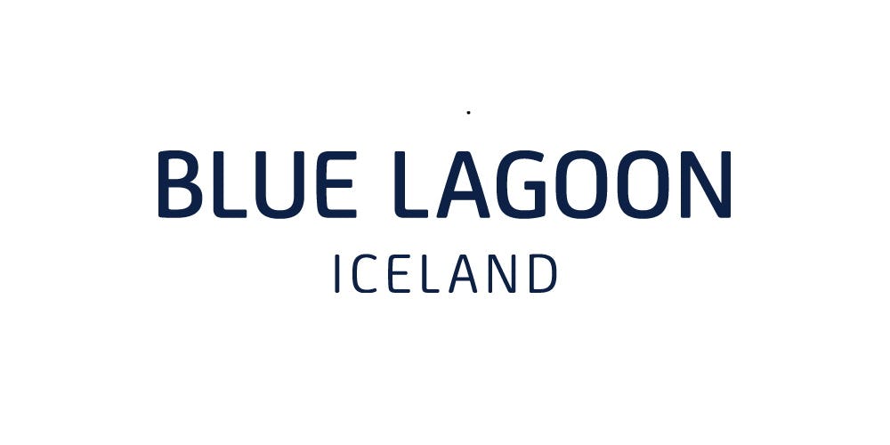 Blue Lagoon Meet in Reykjavik
