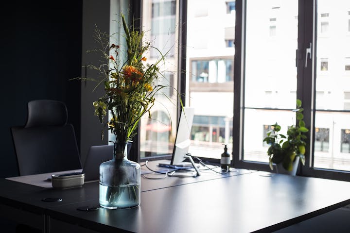 Blick auf einen Schreibtisch mit Computer, Pflanzen etc.