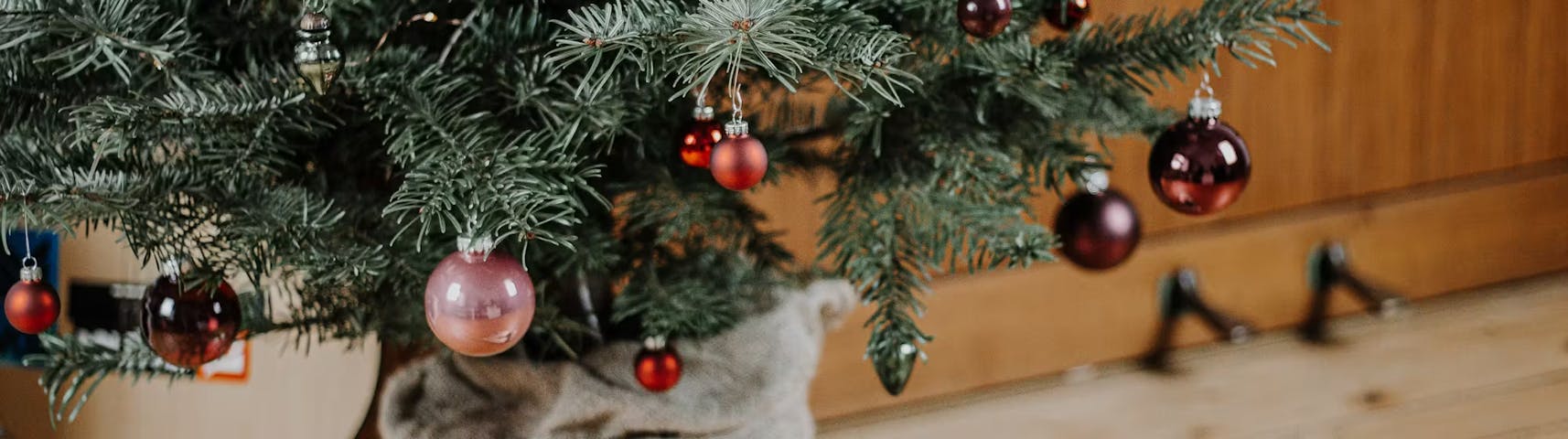 Weihnachtsbaum