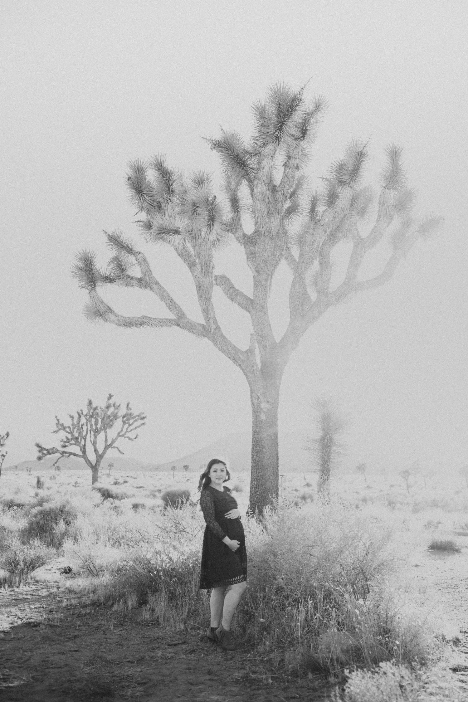 qiun-joshuatree-maternity44