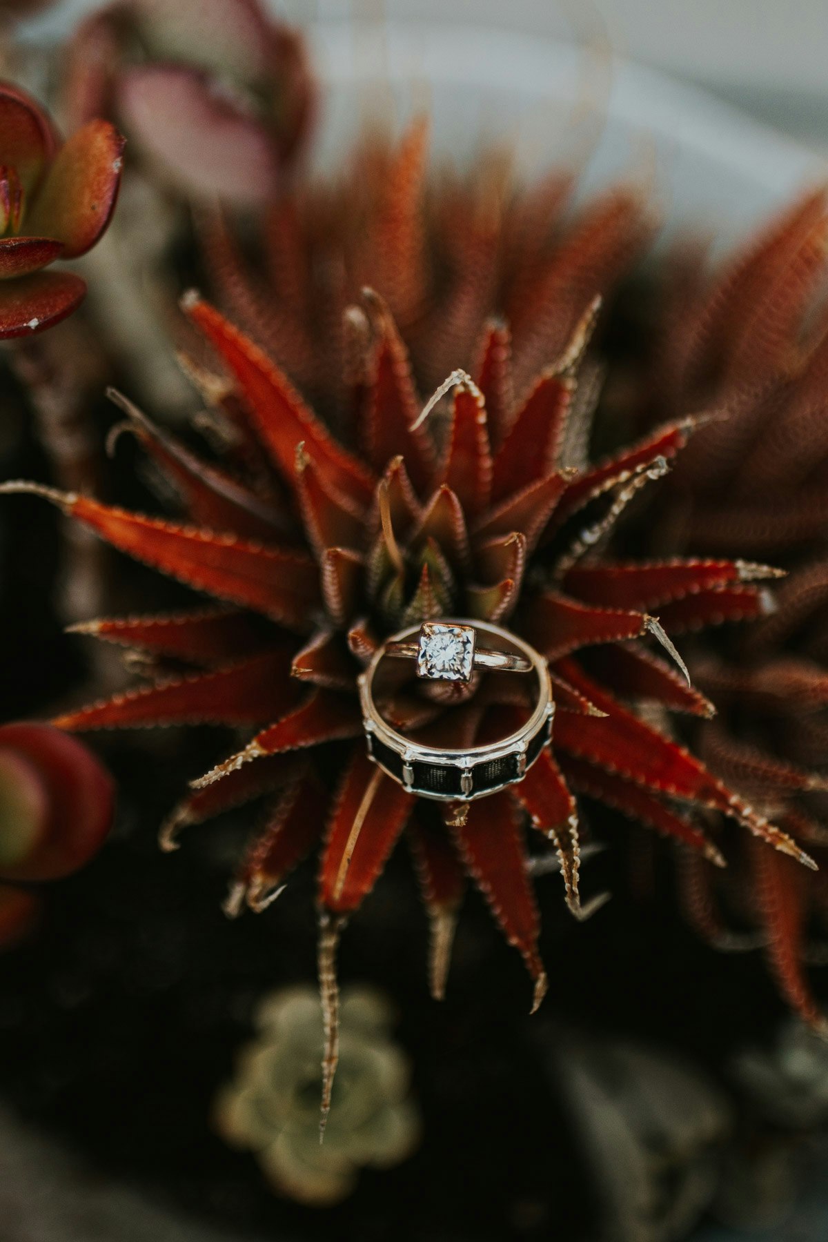 the wedding experience