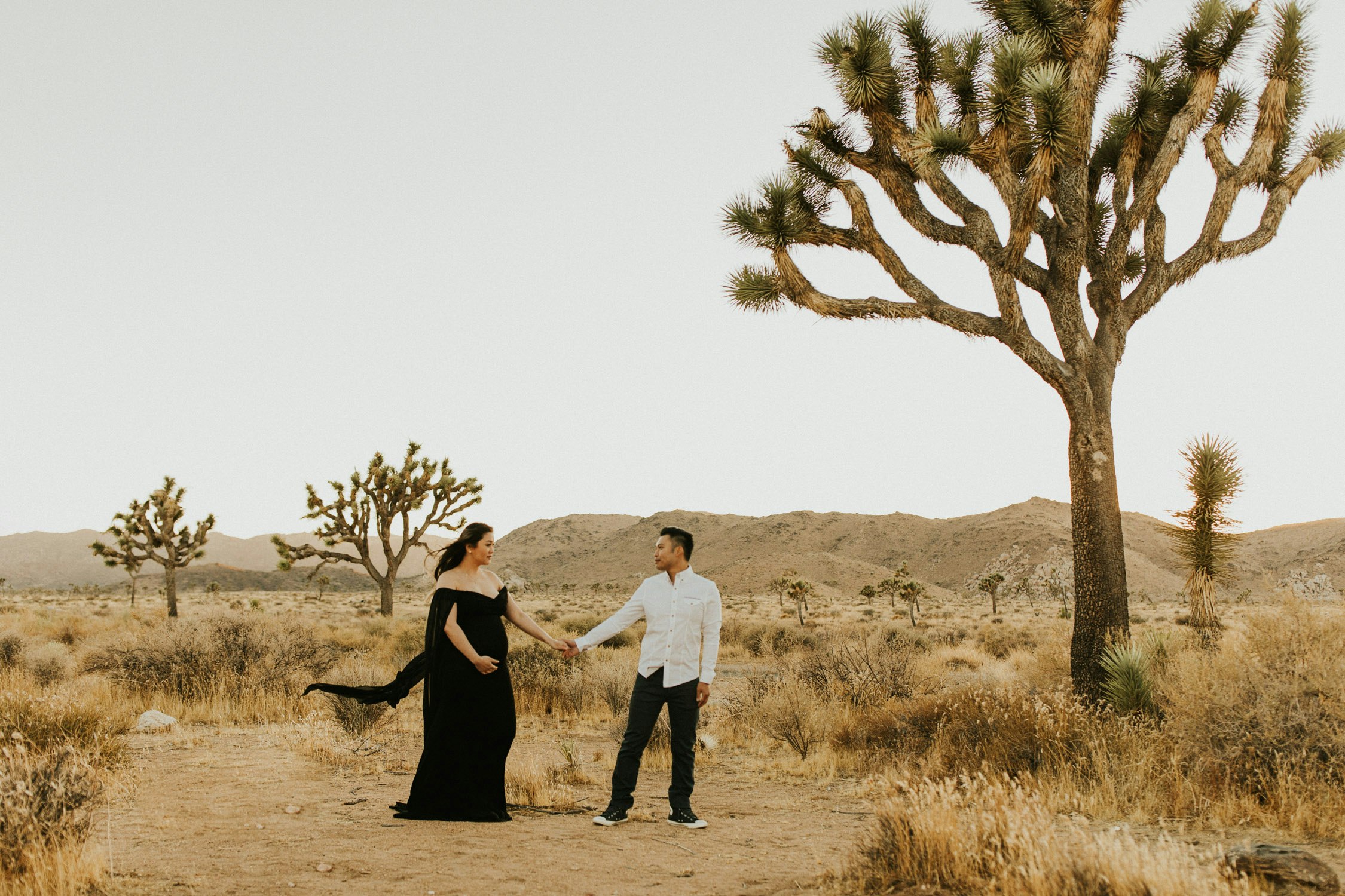 qiun-joshuatree-maternity228