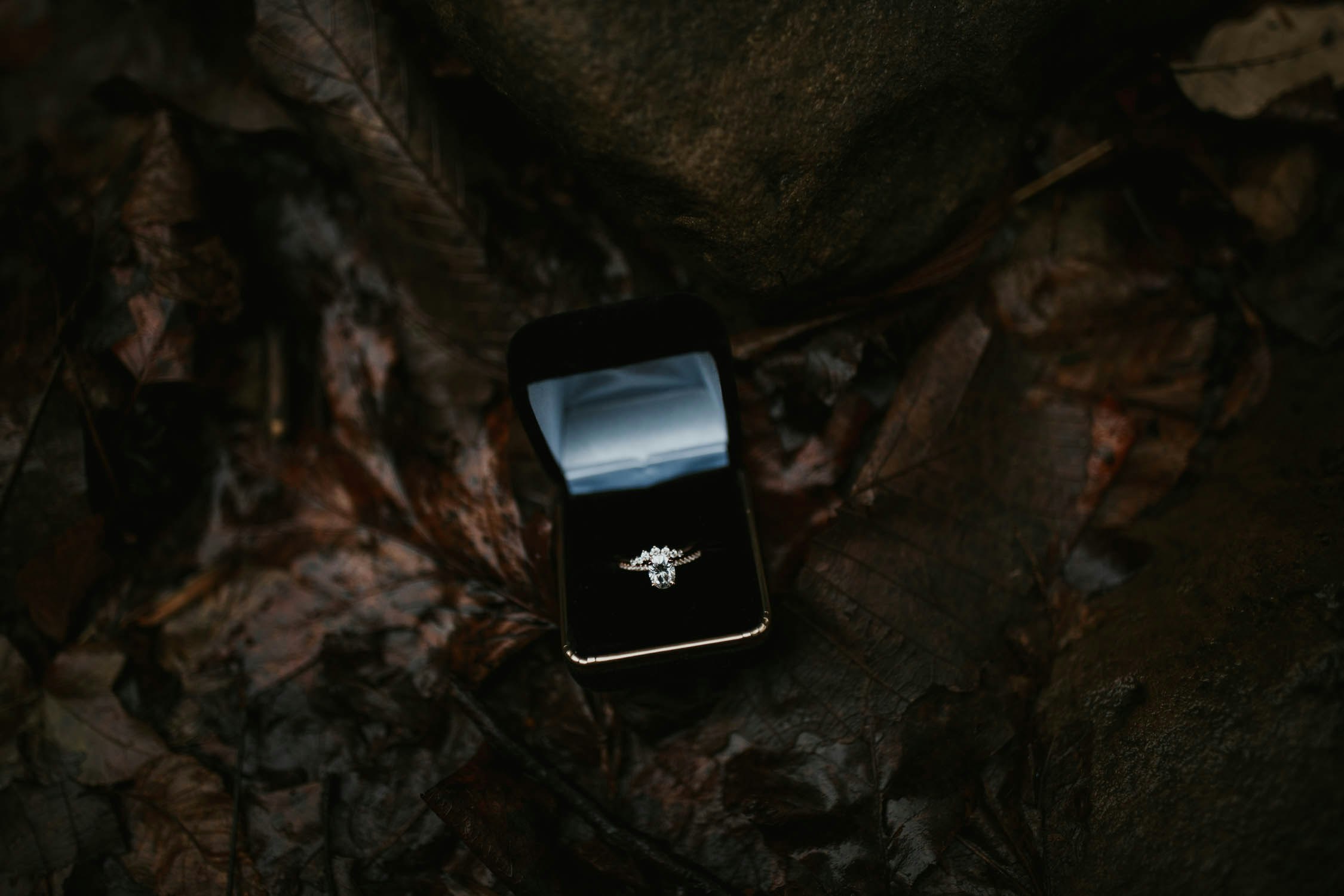 cloudland-canyon-rainy-day-proposal-georgia-24