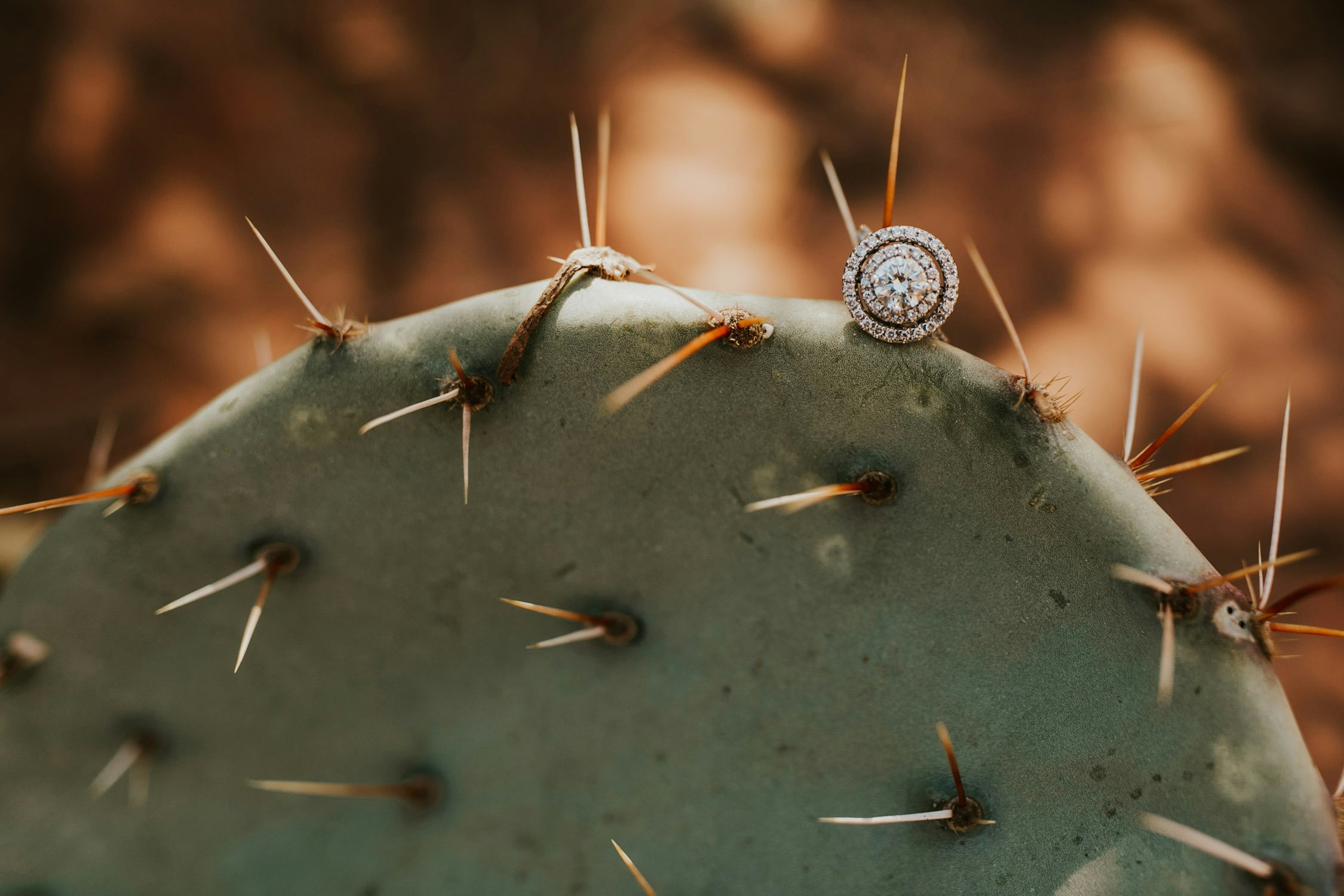 arizona-roadtrip-engagement-session-158