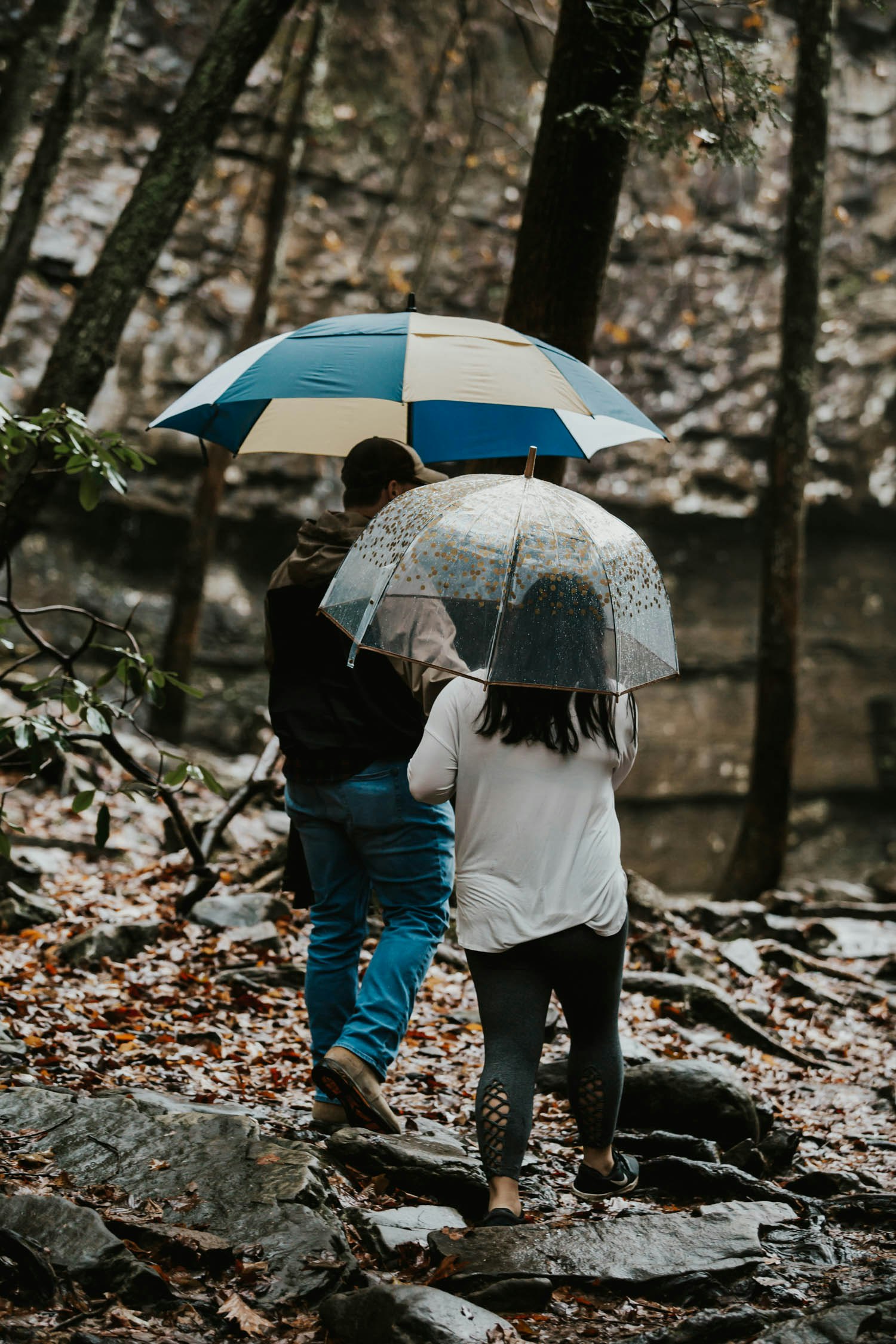 cloudland-canyon-rainy-day-proposal-georgia-2