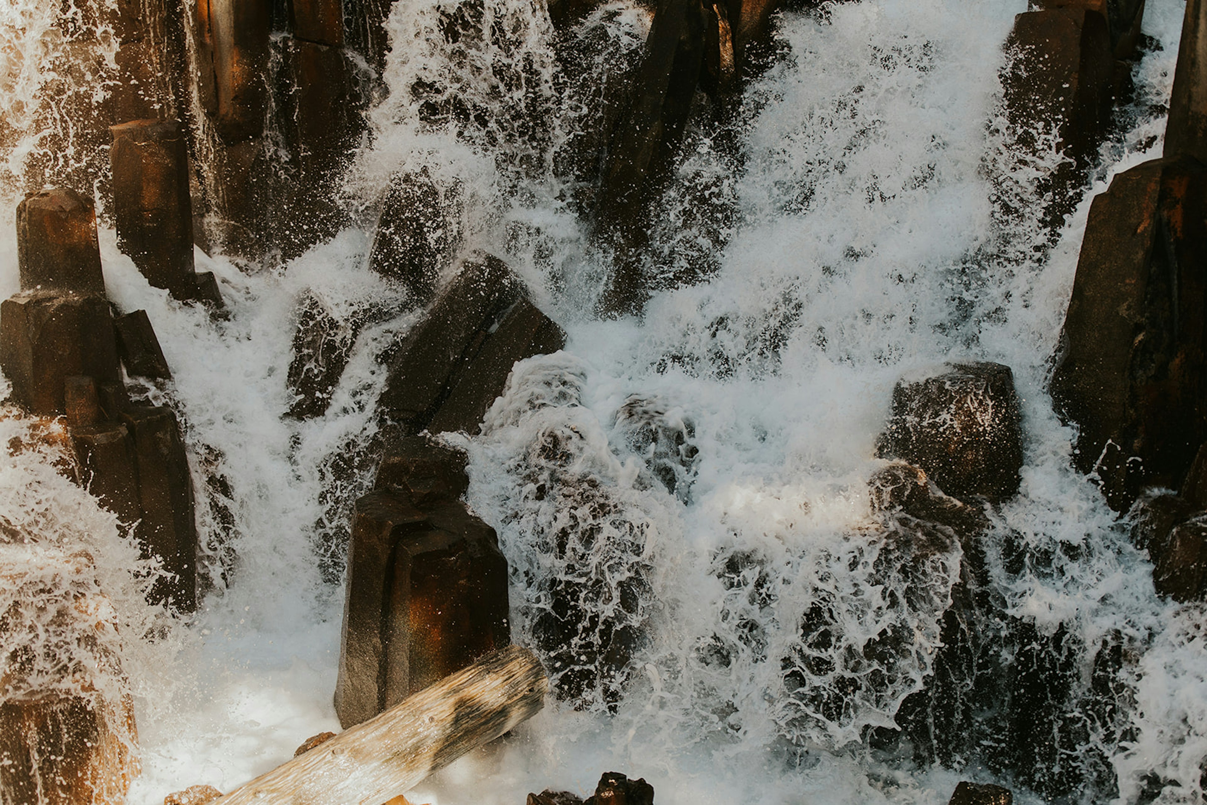 disneyengagementsession+%2846%29