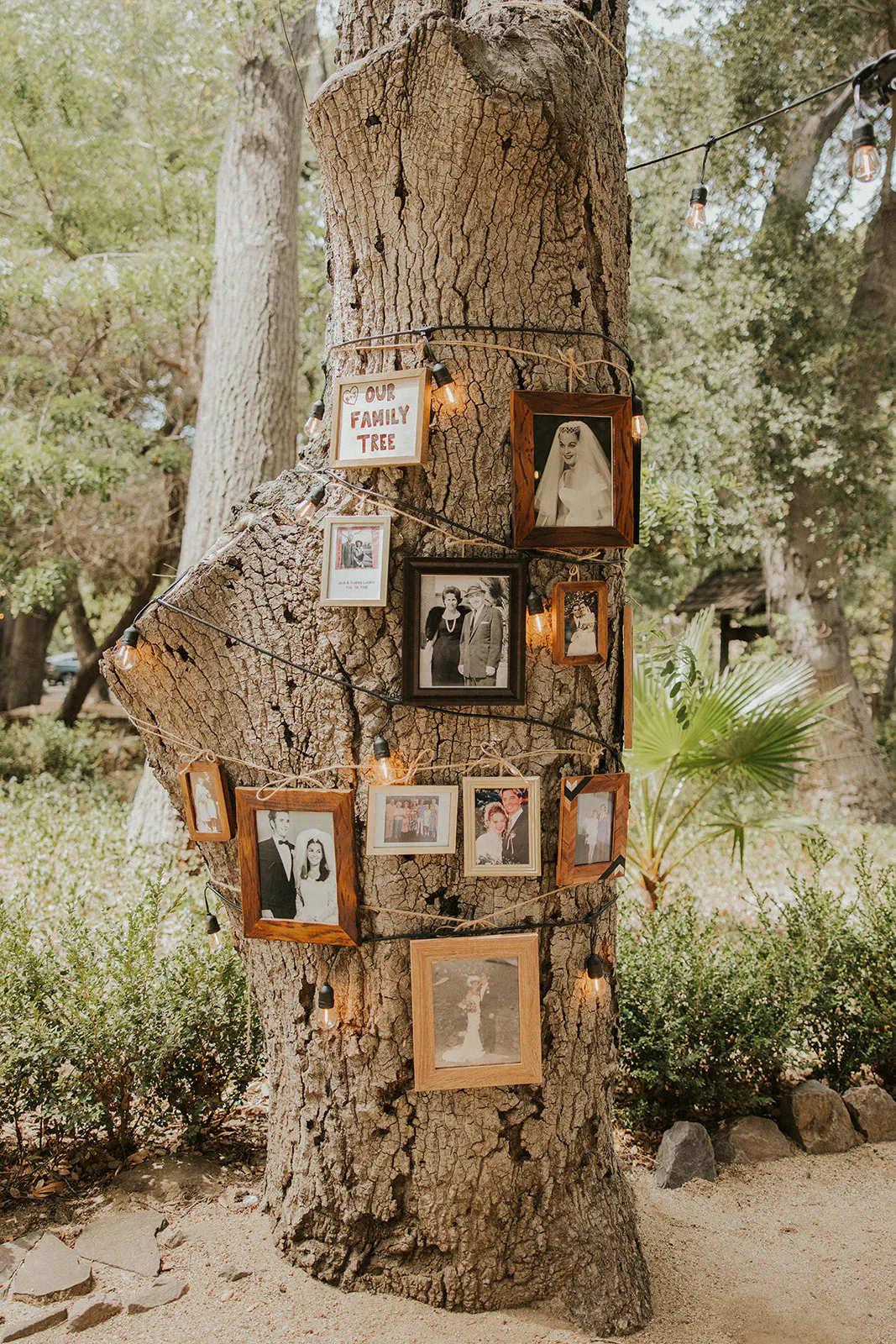 Heirloom Wedding Photos placed on an Oak Tree at Parent Trap Inspired Wedding in Agoura Hills