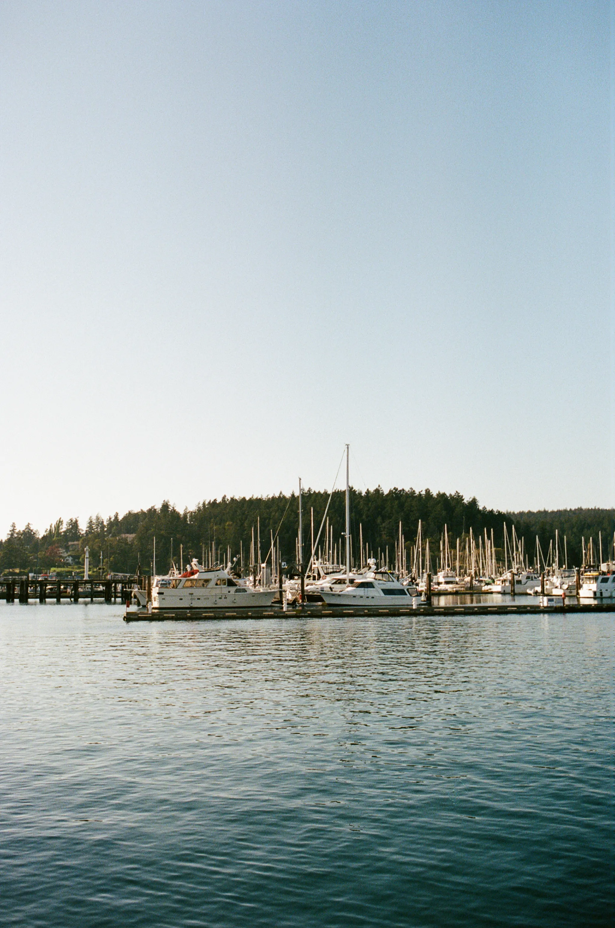 Ferry at Friday Harbor on San Juan Island