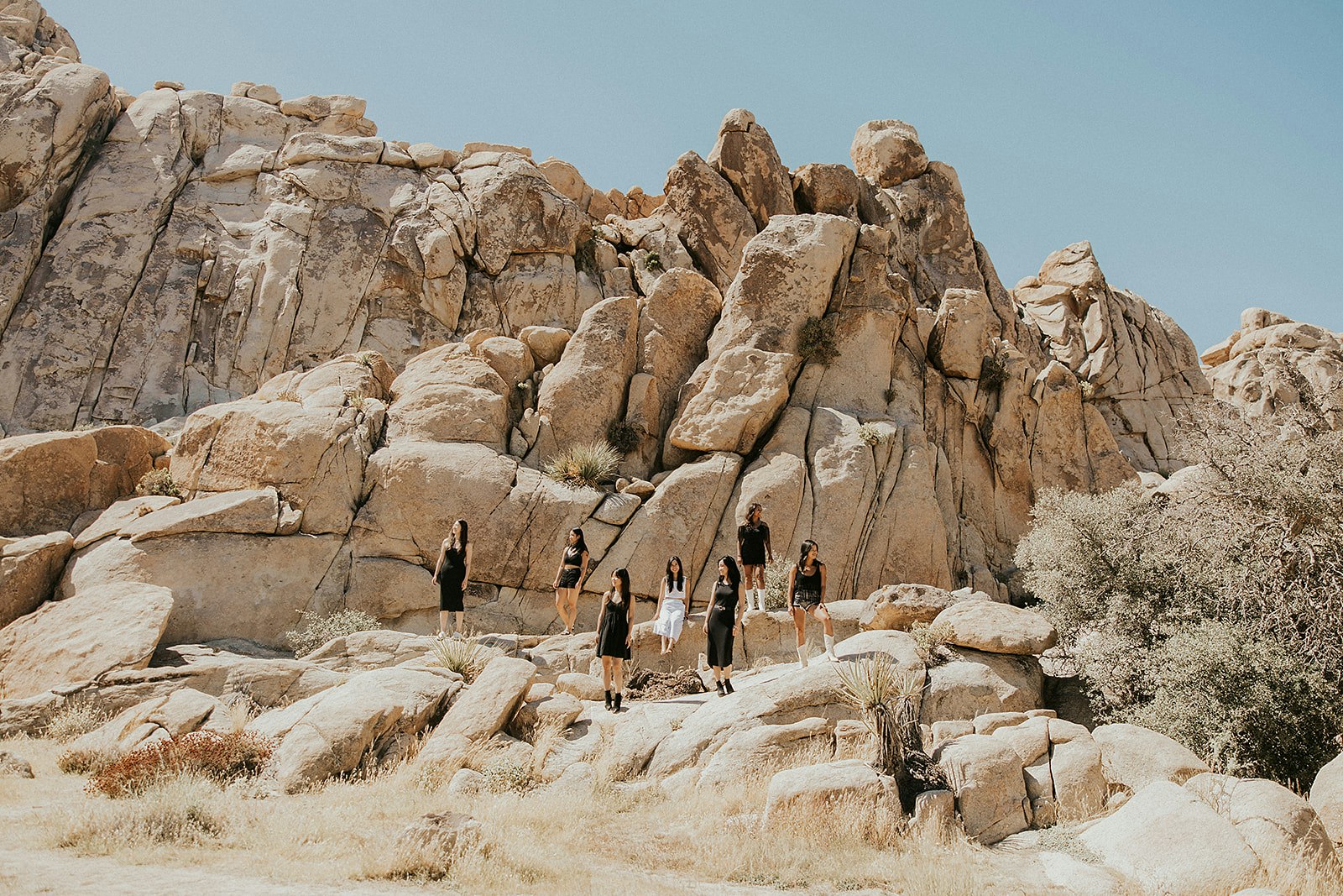 joshuatree-nationalpark-bachelorette-sarah-24-