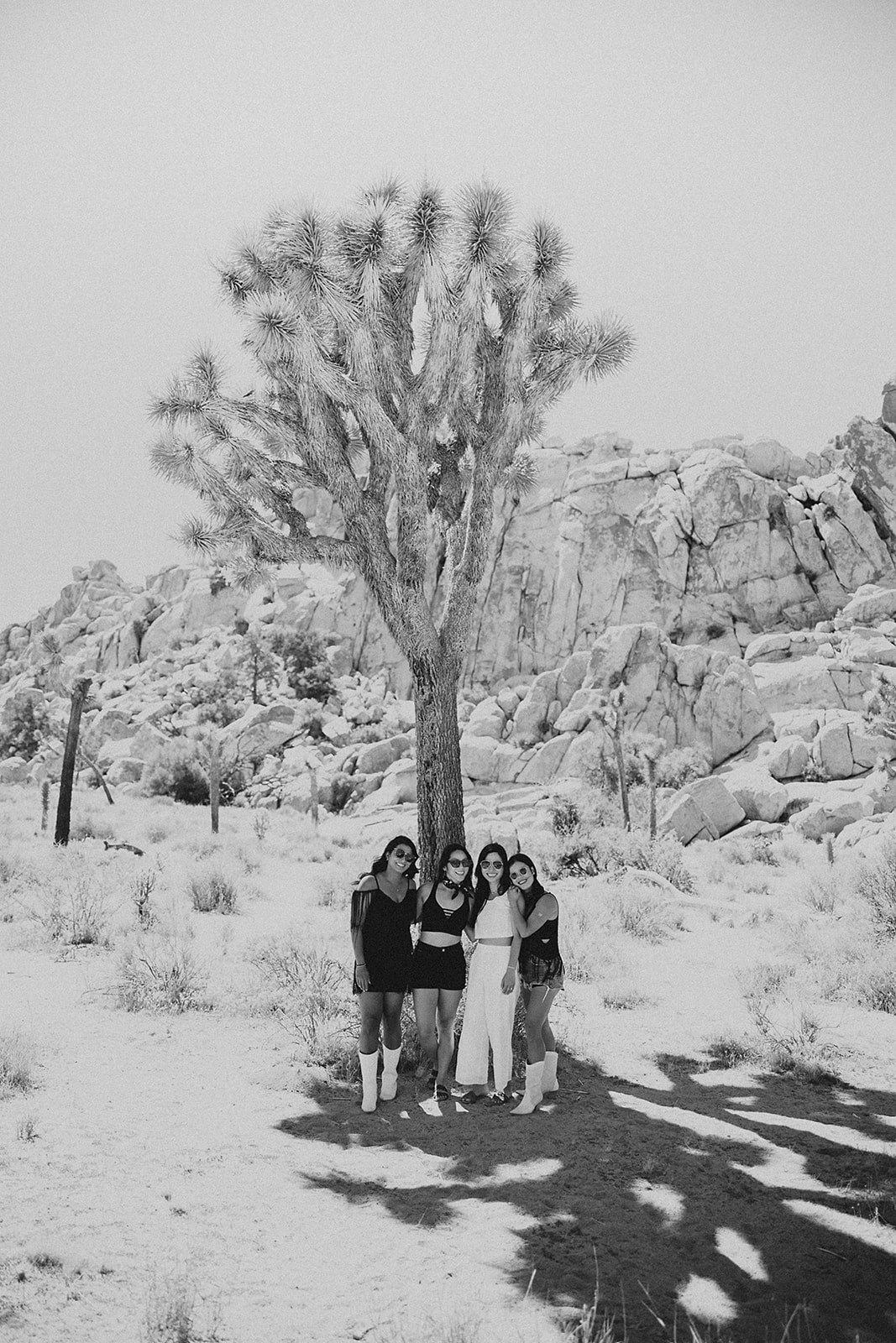 joshuatree-nationalpark-bachelorette-sarah-34-