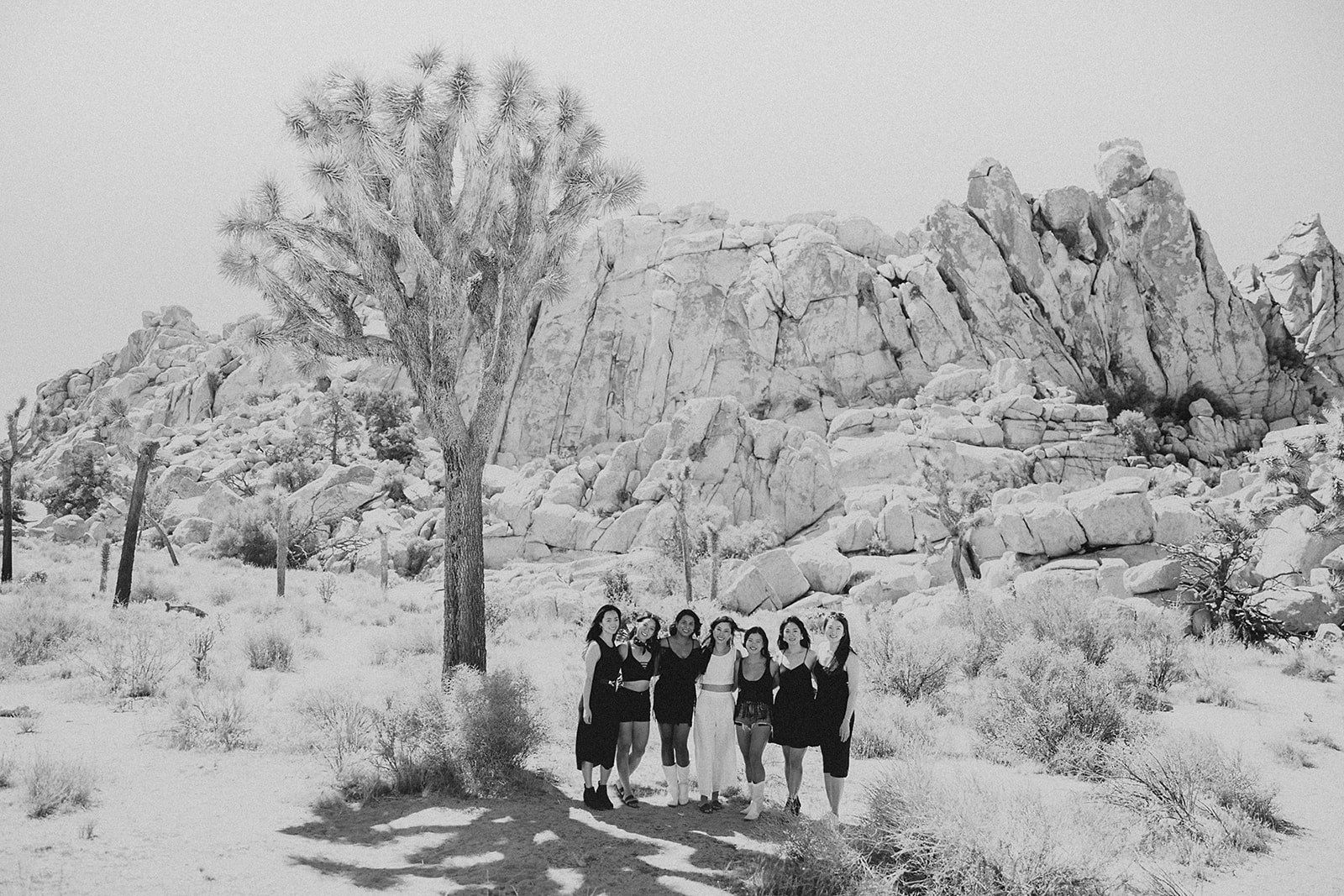 joshuatree-nationalpark-bachelorette-sarah-37-