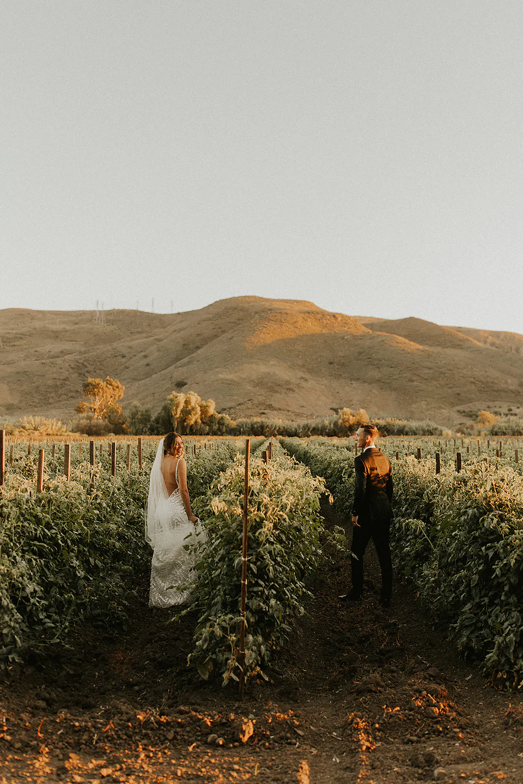 Couple runs through grapevines during Maravilla Gardens wedding day
