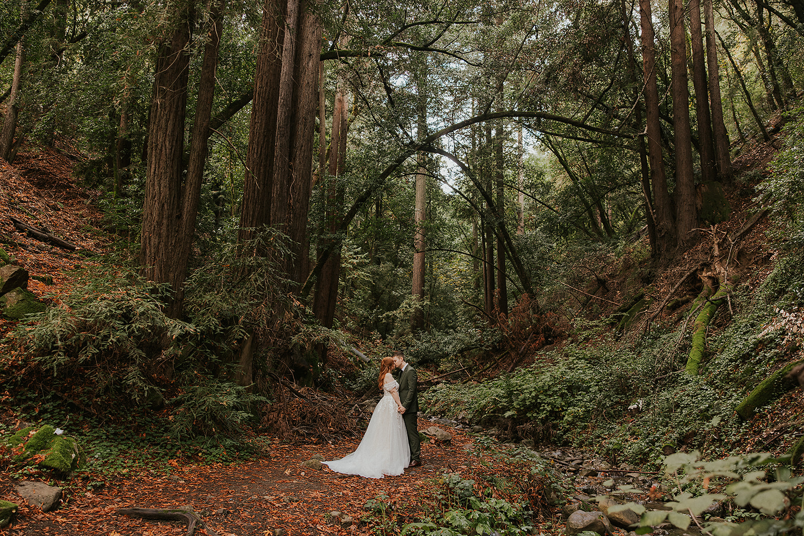 redwood-wedding-elopement