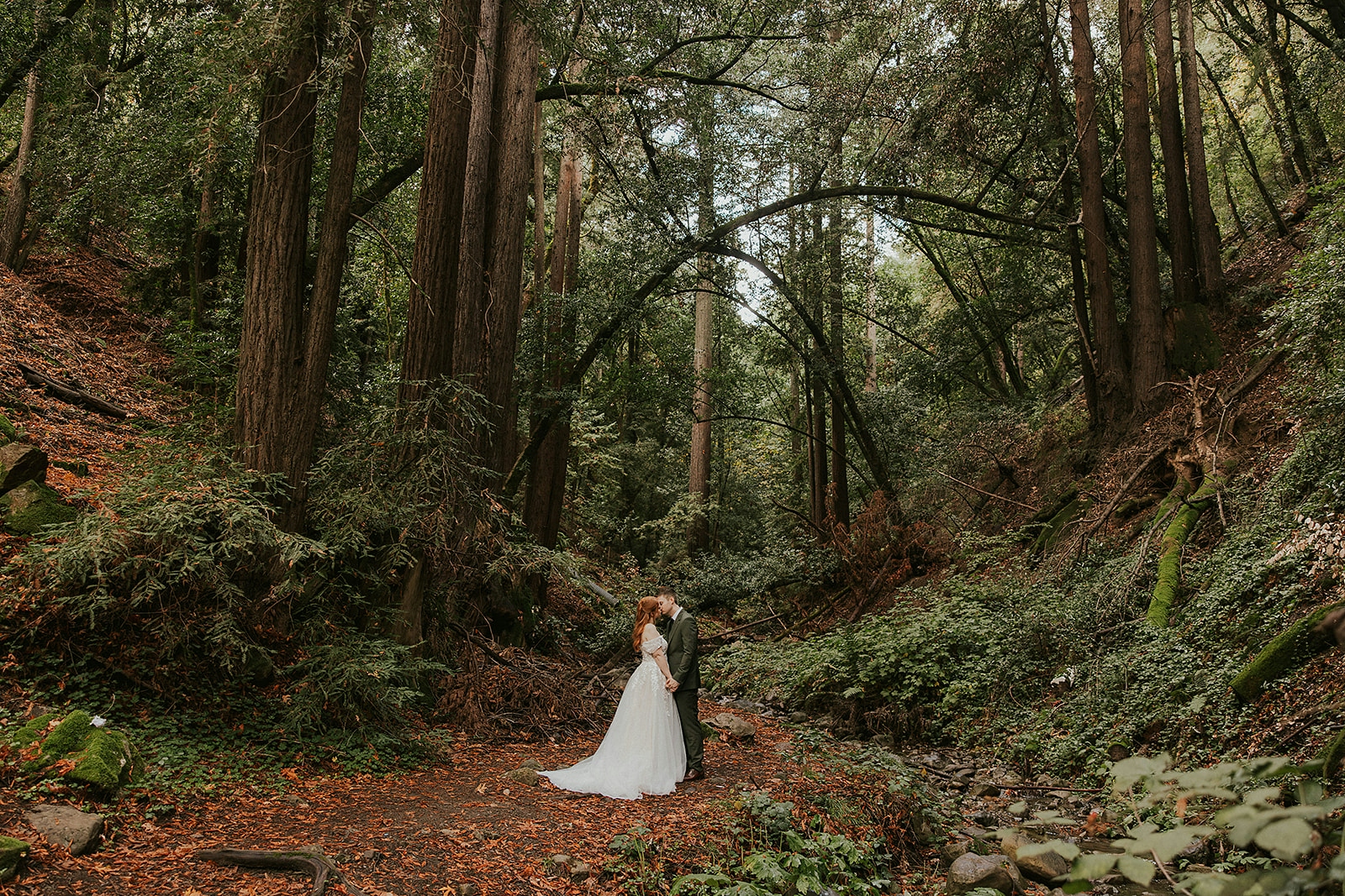 redwood-wedding-elopement