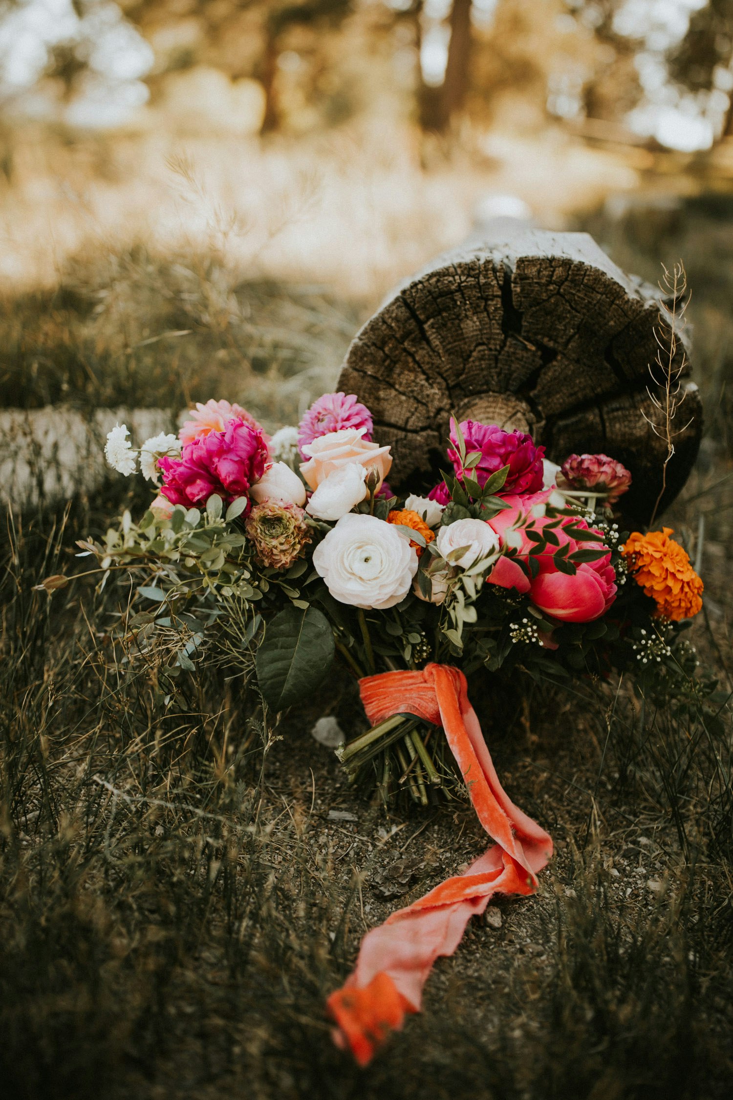 bigbear-engagements-gwen