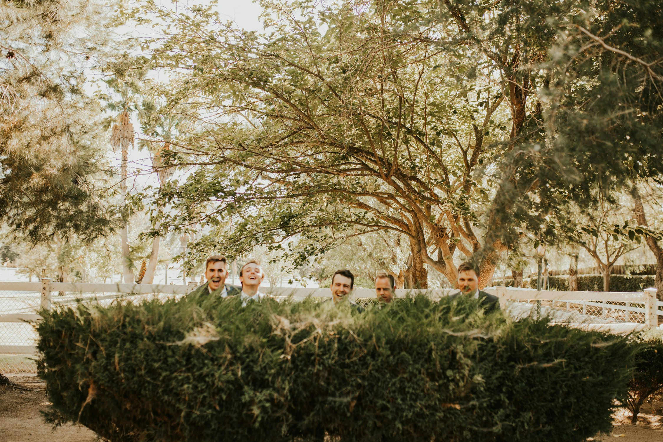 woodsy-california-wedding-kirkman-15