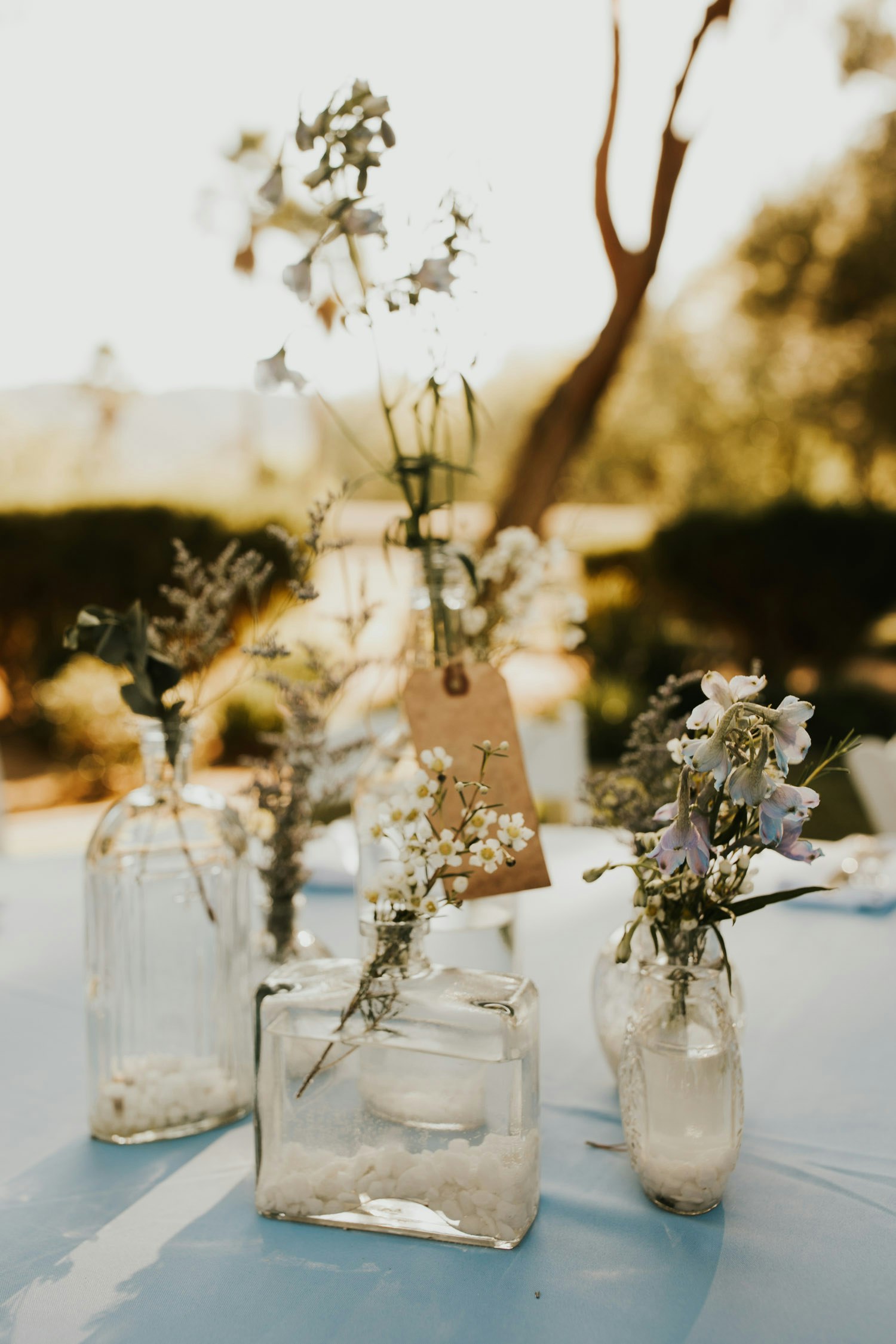 woodsy-california-wedding-kirkman-22