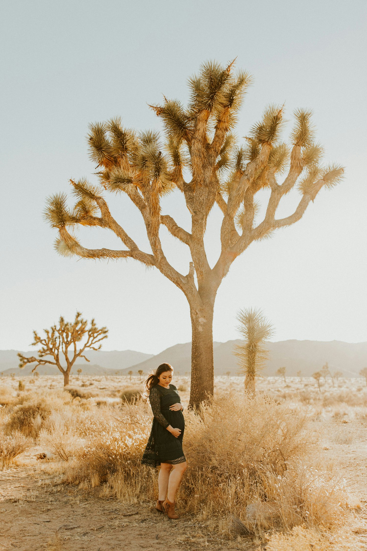 qiun-joshuatree-maternity42