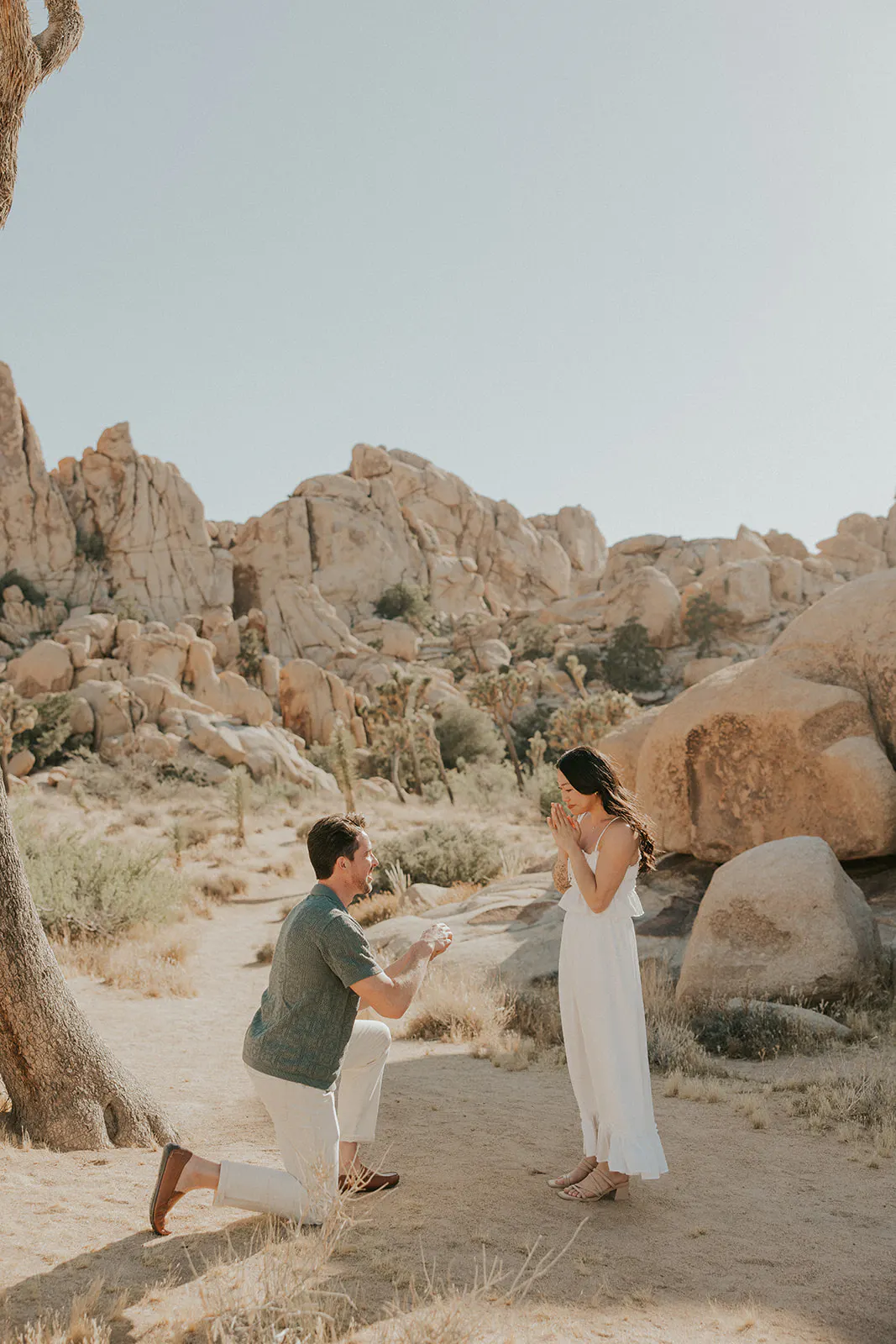 Joshua Tree National Park Proposal for a couple from Colorado