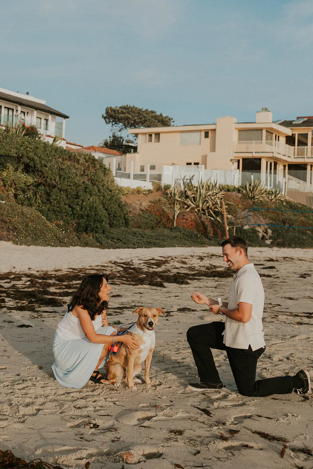 Couple with Dog get engaged on a La Jolla Beach